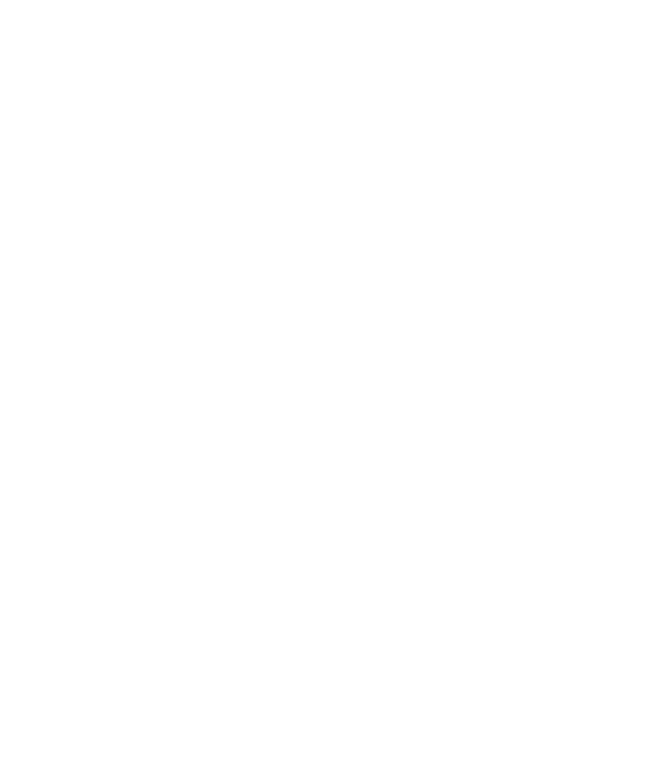 Lauster Land Survey